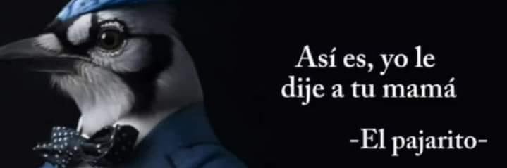 MasiosareMx74 banner