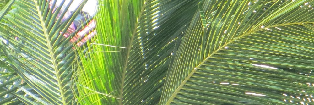 luanne613's profile banner image