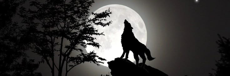 Joy😼😈☿ banner