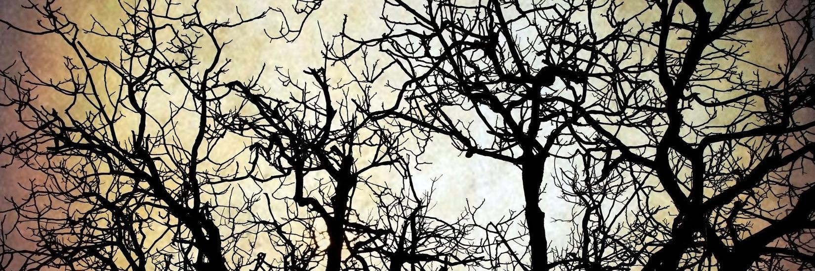 badthingsmusic's profile banner image