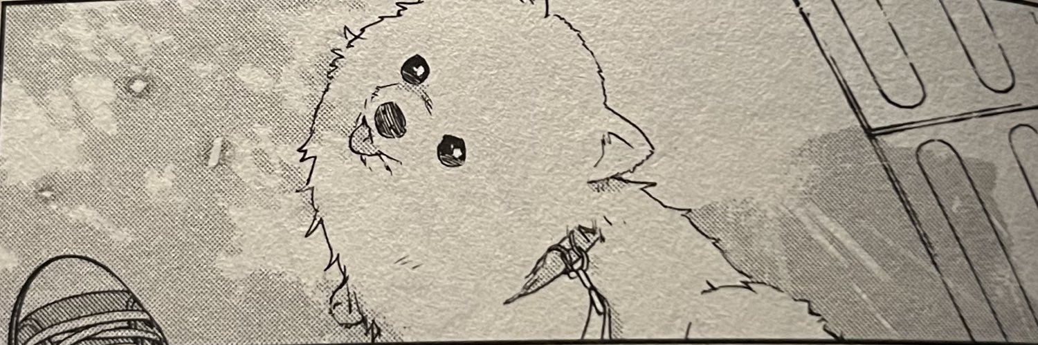 cat 🫶🌟 banner