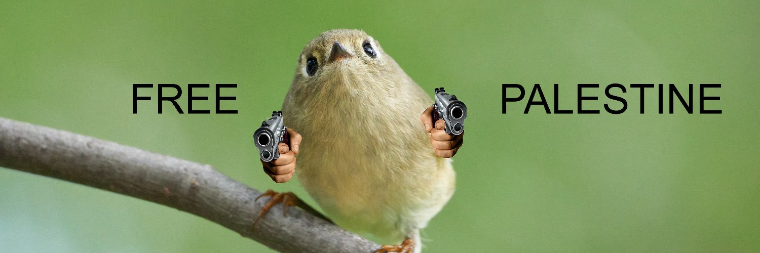 acidforants's profile banner image