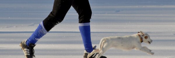TomHajda Profile Banner