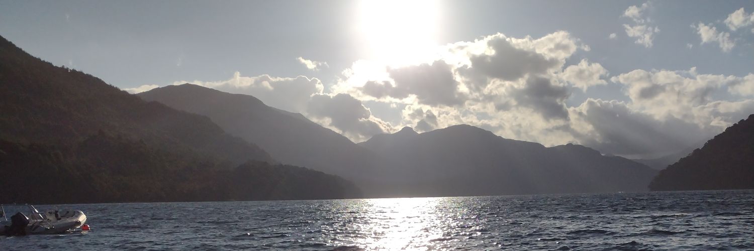 RocioMaier's profile banner image