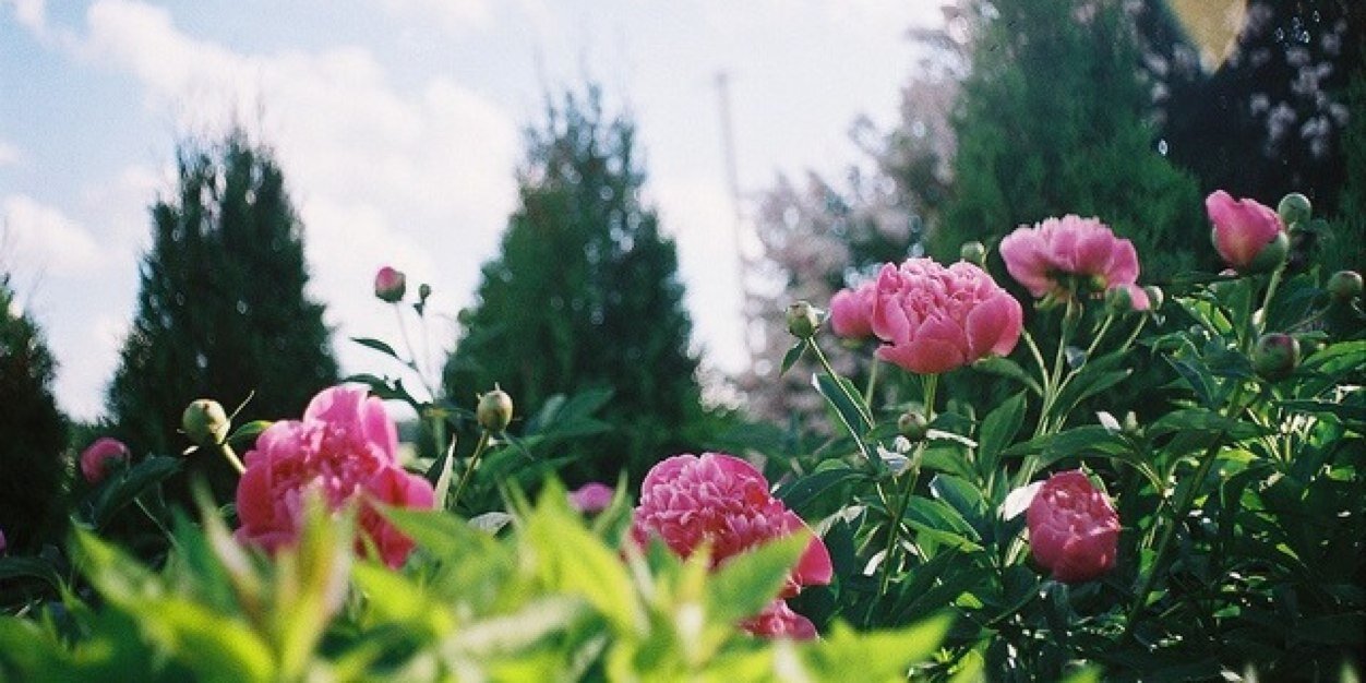 thataportella's profile banner image