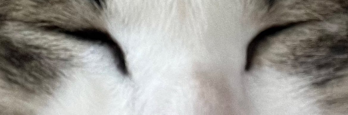 nyoru__ssbu's profile banner image