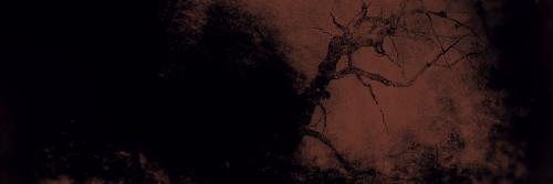 The Bloodybits Horror Show banner