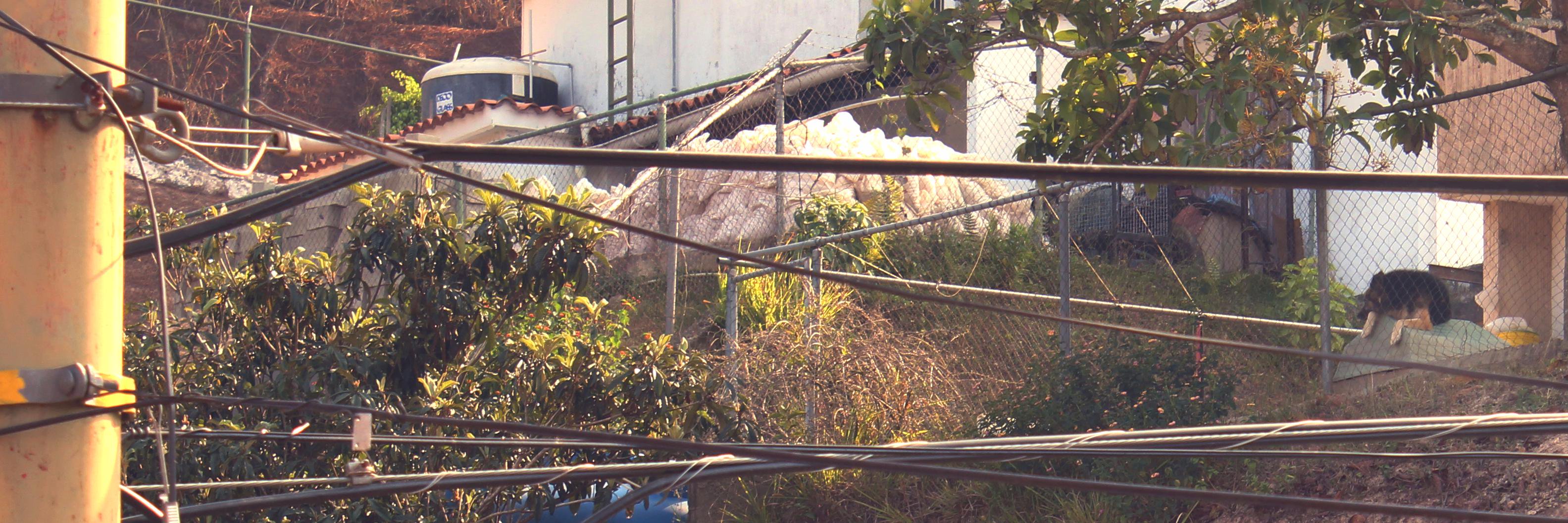 _ogsdu's profile banner image