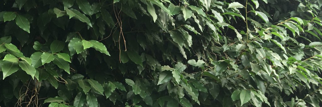 Sham526's profile banner image