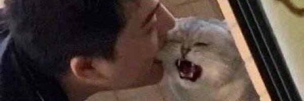 20010613_s2 Profile Banner