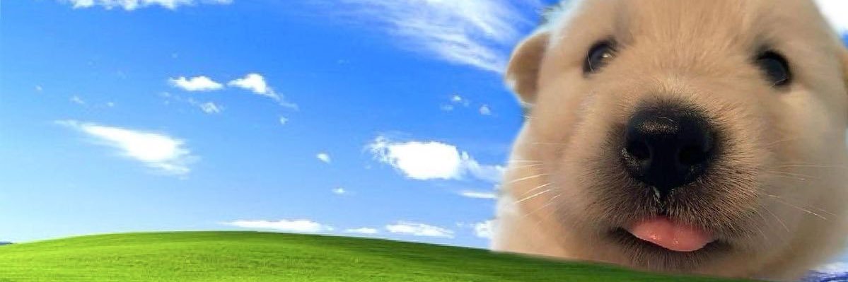 sptny_'s profile banner image