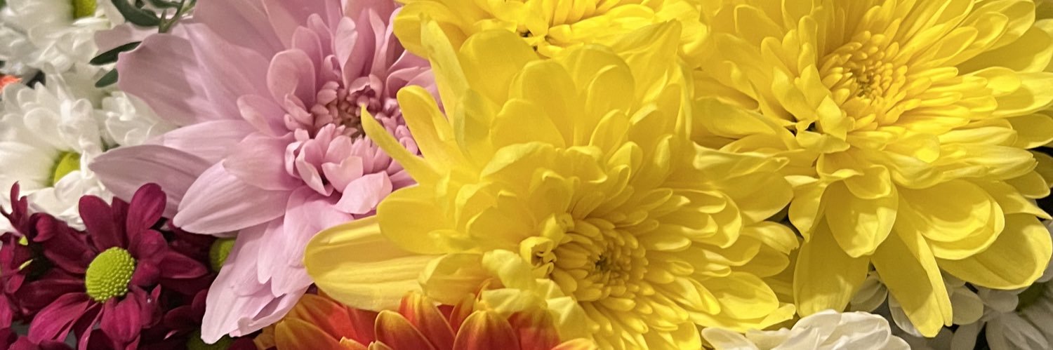 JessNeww's profile banner image