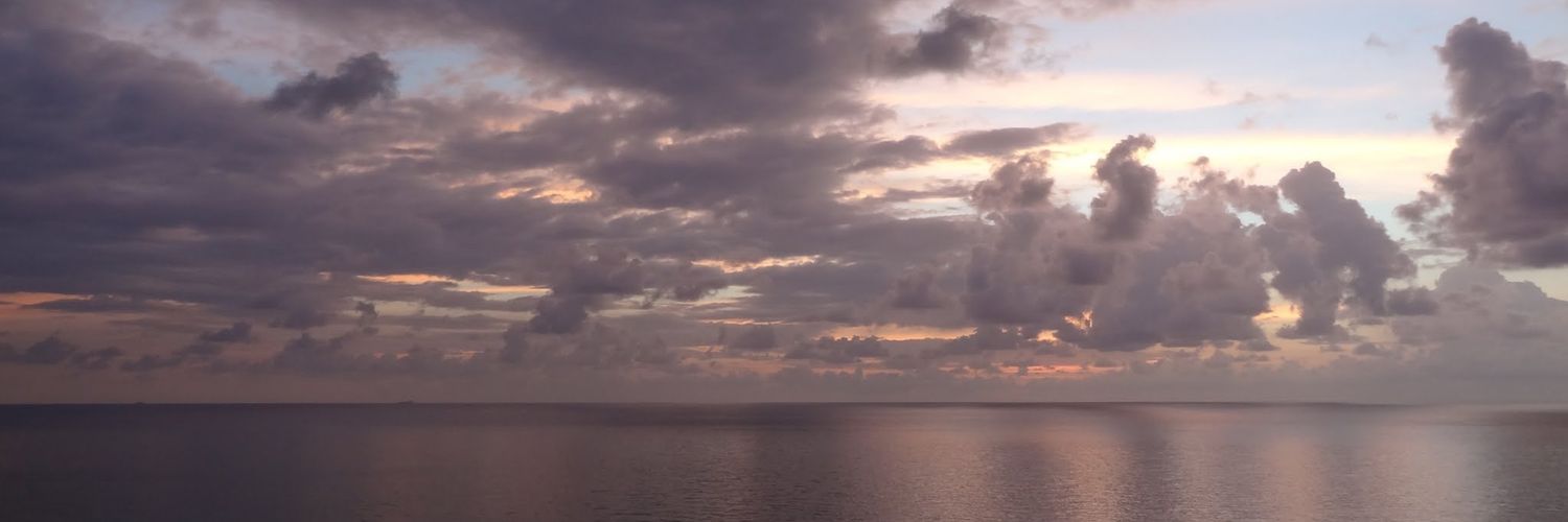 marceloviton's profile banner image