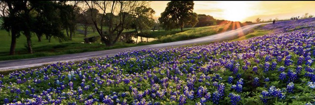 crabcancer69♋🦀🇺🇲🌊🌊🌊🇺🇦🏳️‍🌈 banner