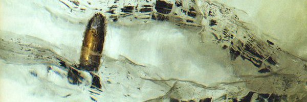 Substance242 Profile Banner