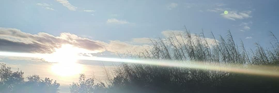 OrquideaSanchez's profile banner image