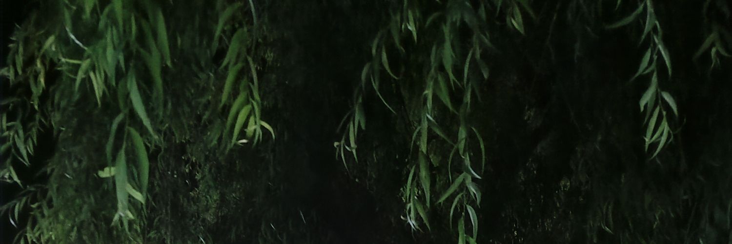 hkn136_'s profile banner image