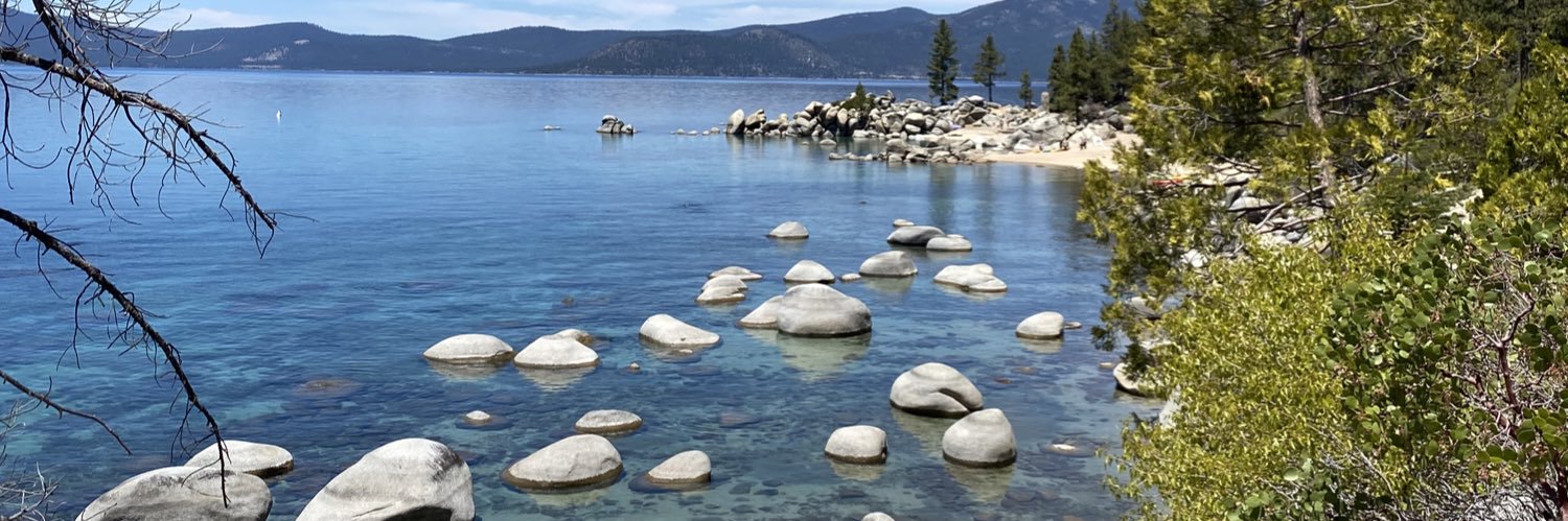 Andressa Cholodovskis banner