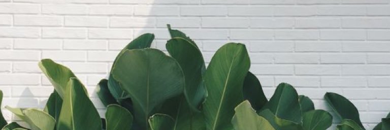 be_mand's profile banner image