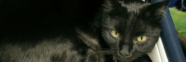 dor_zach Profile Banner