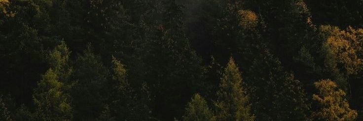 losbletes's profile banner image
