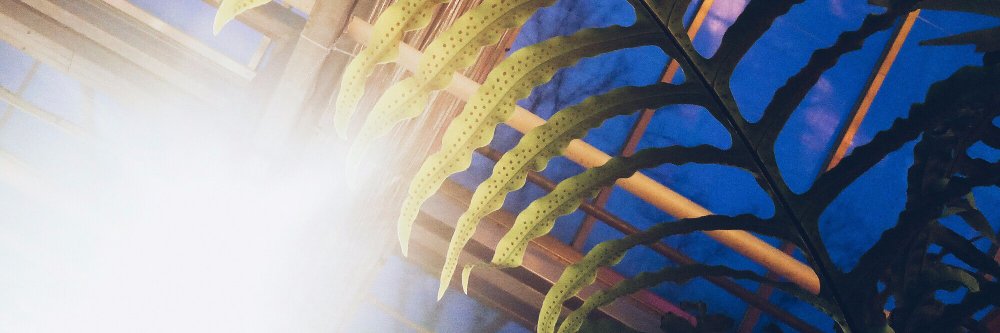 mora_ull's profile banner image