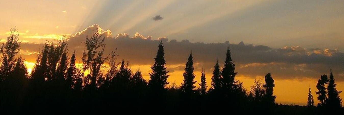 l_mac's profile banner image