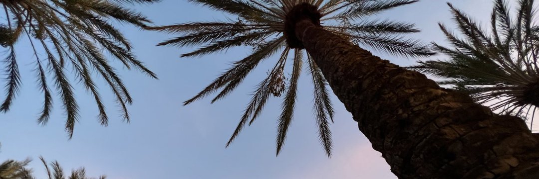ToonDiv1892's profile banner image