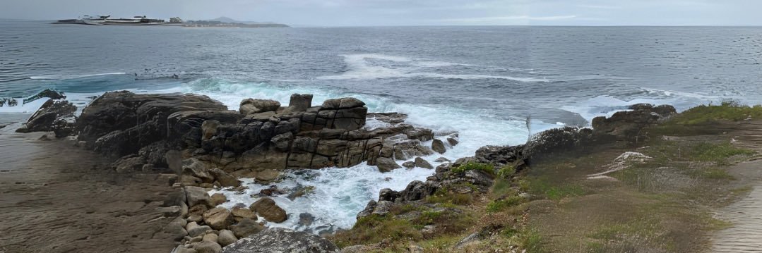 A Rose (alrg7) banner