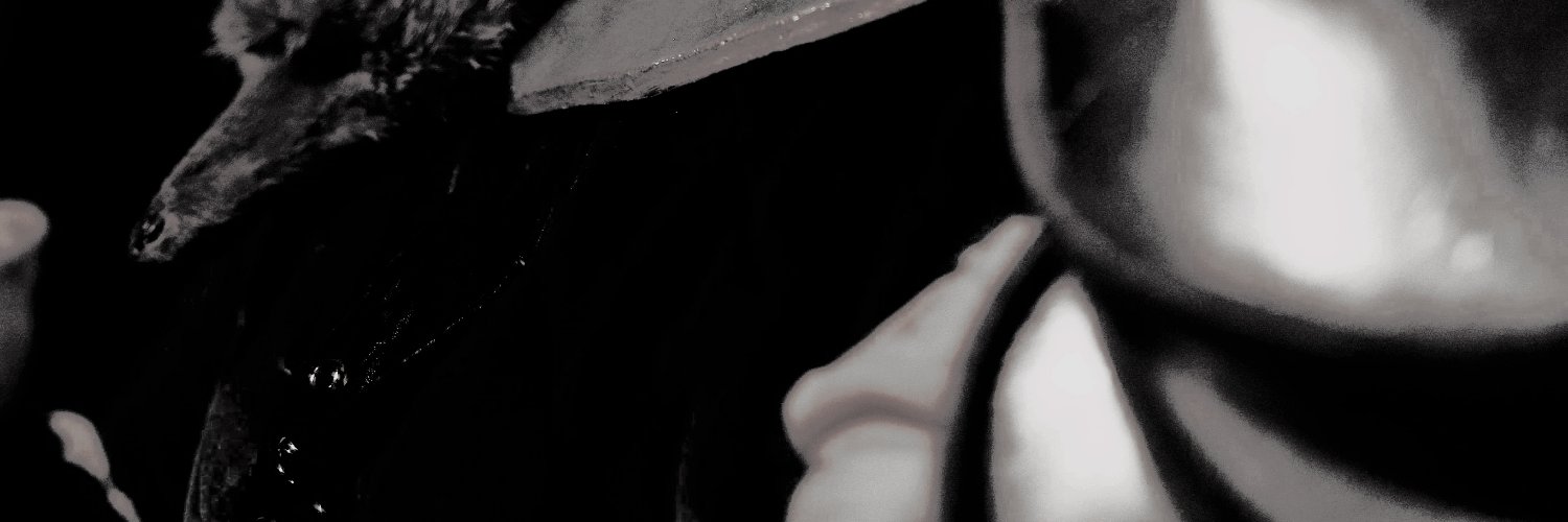 𓆰ᅠᅠ────ᅠᅠ𝓔𝑉𝐴𝑁𝐷𝑅𝐴꧂ banner