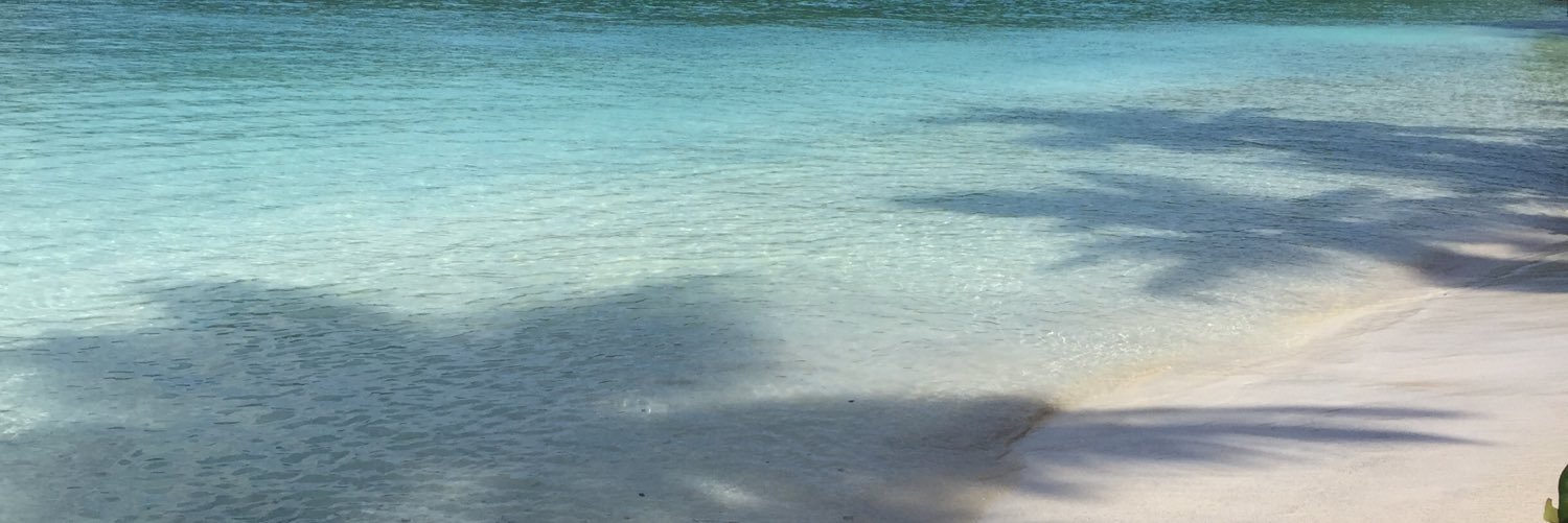 Stephanie Tank banner