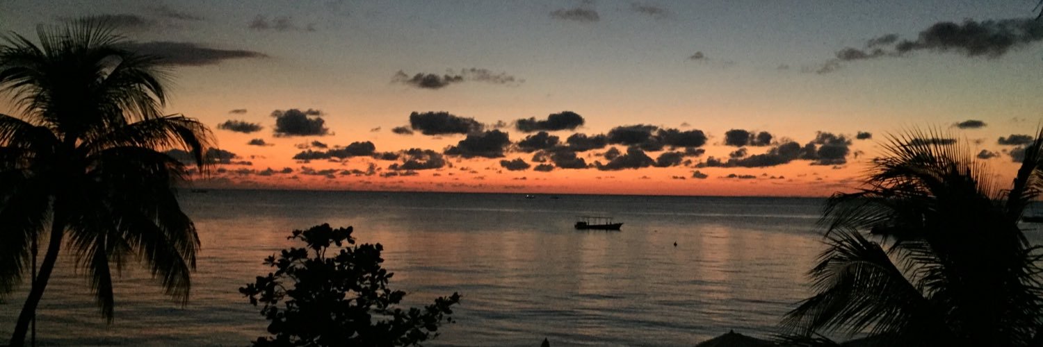 mfosbrooke's profile banner image
