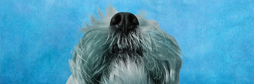 3ghz.bsky.social banner