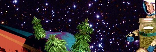PermanentJetLag's profile banner image