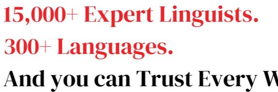 BIG Language Solutions banner