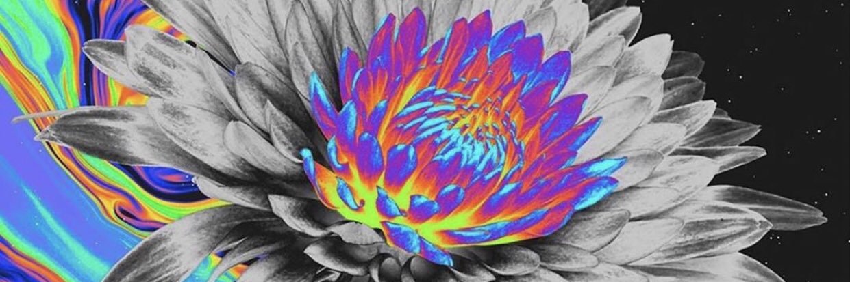 Carolinaaaa_15's profile banner image