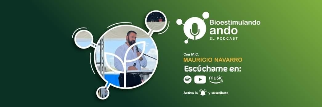 mnavarrogar's profile banner image