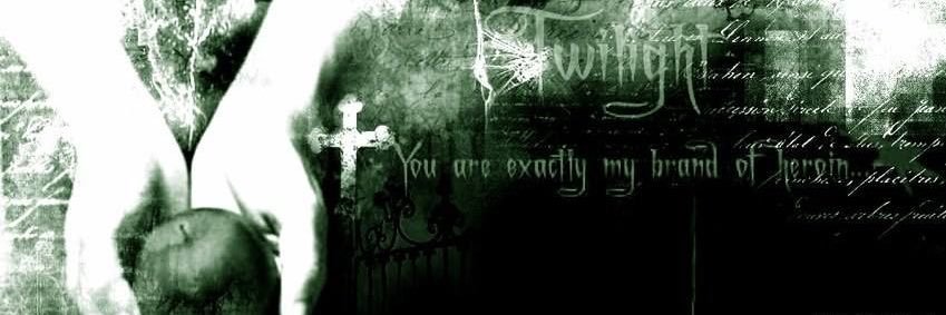 noah 𐙚 ̊. banner