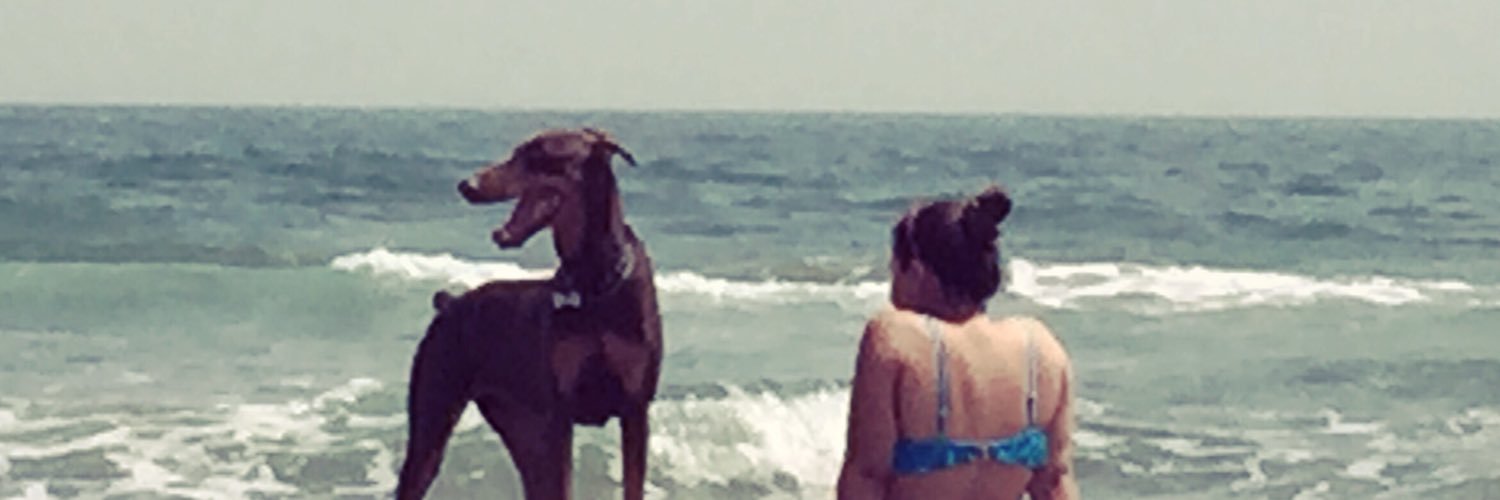 CyndiGM's profile banner image