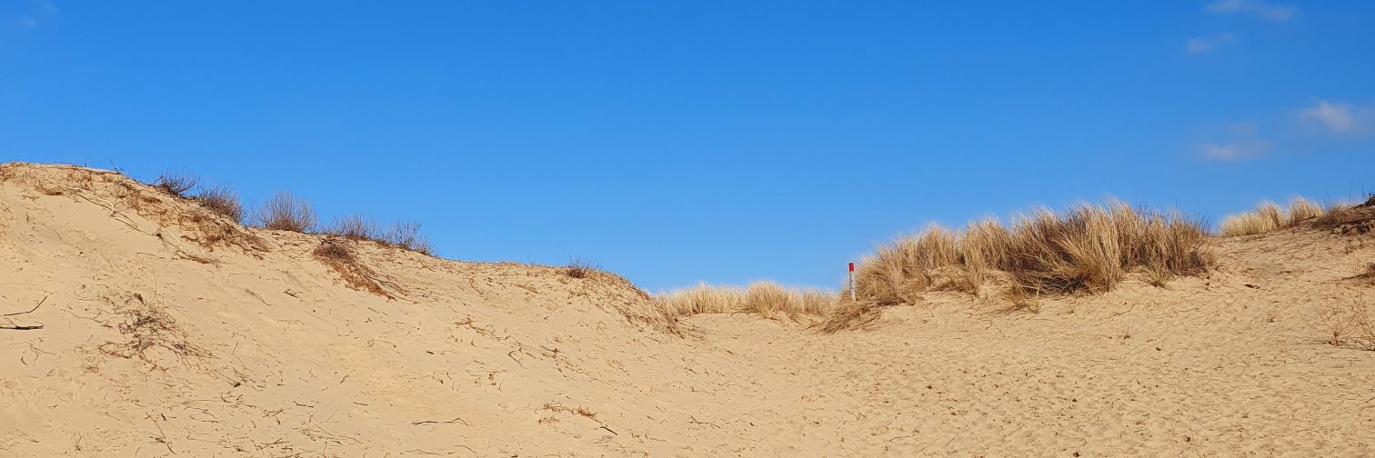 Marco de Jong banner