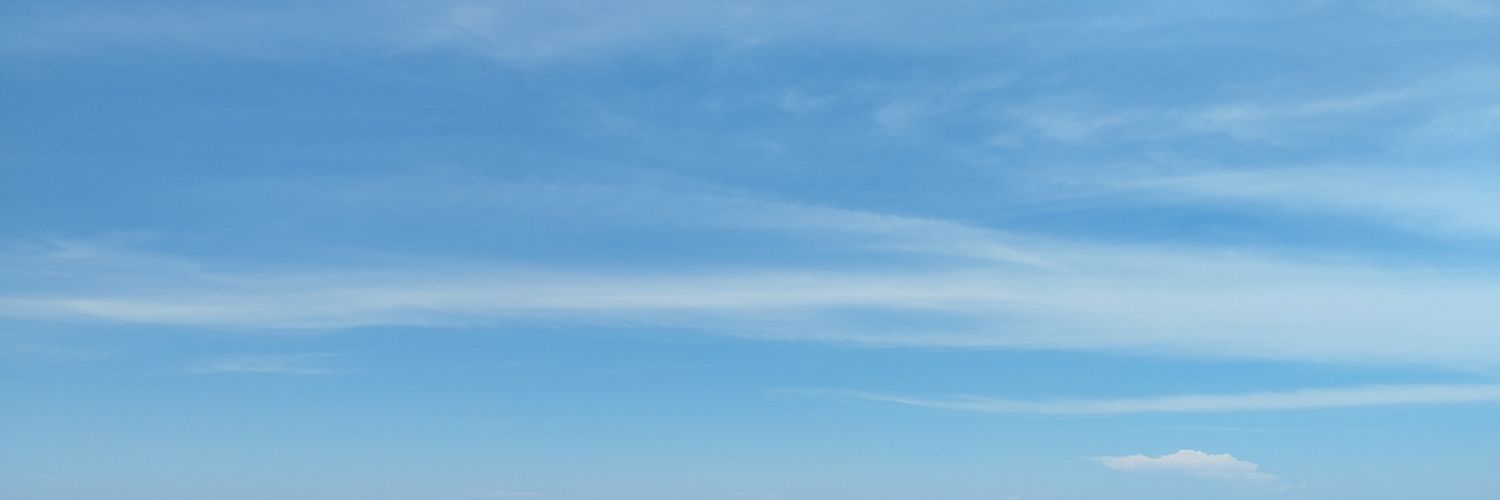 Raleigh Vryan banner