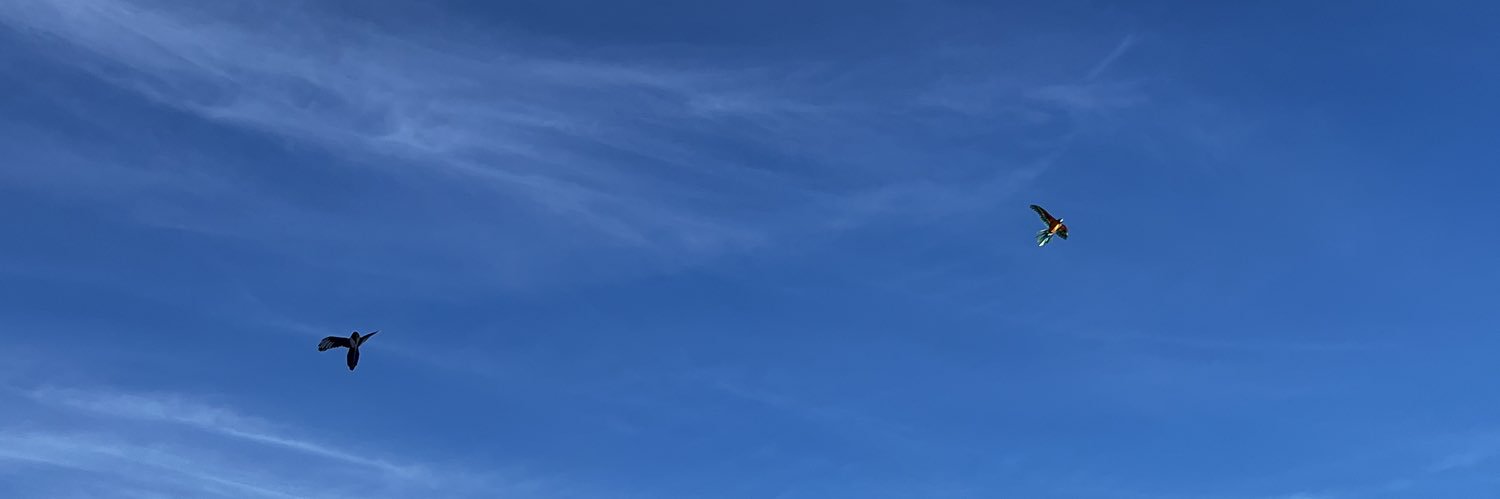 dadiduha's profile banner image