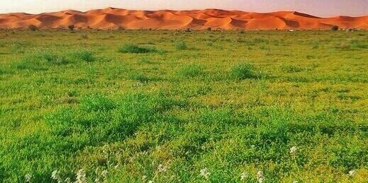 GrSaud's profile banner image