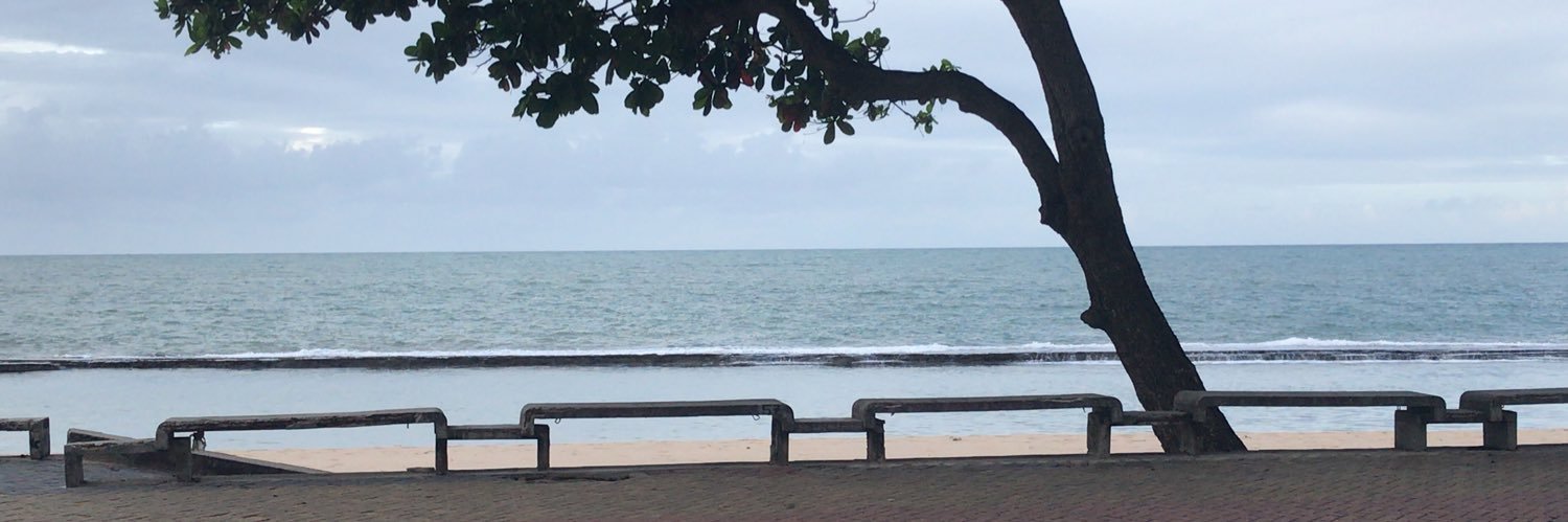 Bruno Castelo Branco banner