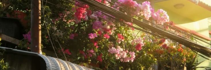 ___darkred's profile banner image