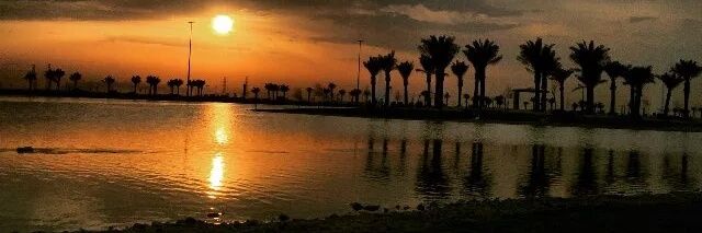 cks57247's profile banner image
