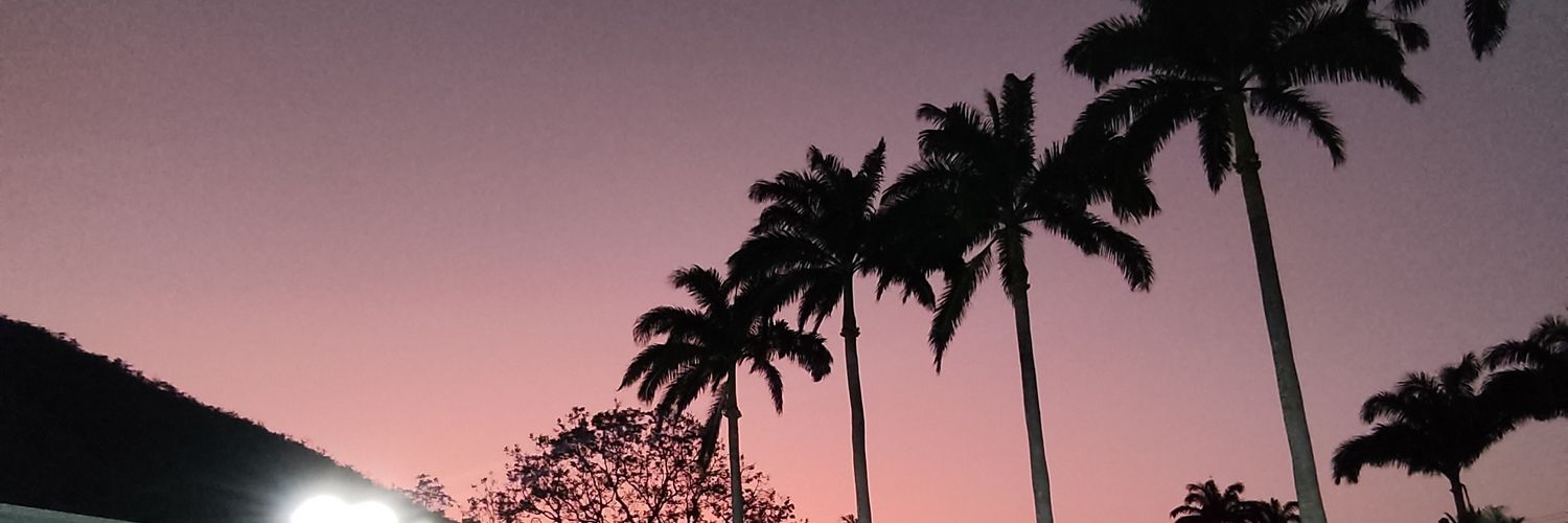 DariaTuLado's profile banner image