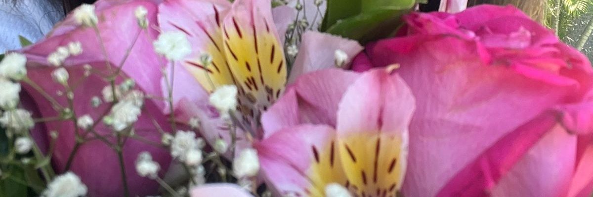 aphsy8c's profile banner image