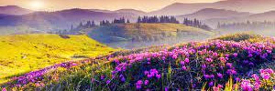 isolina1975's profile banner image