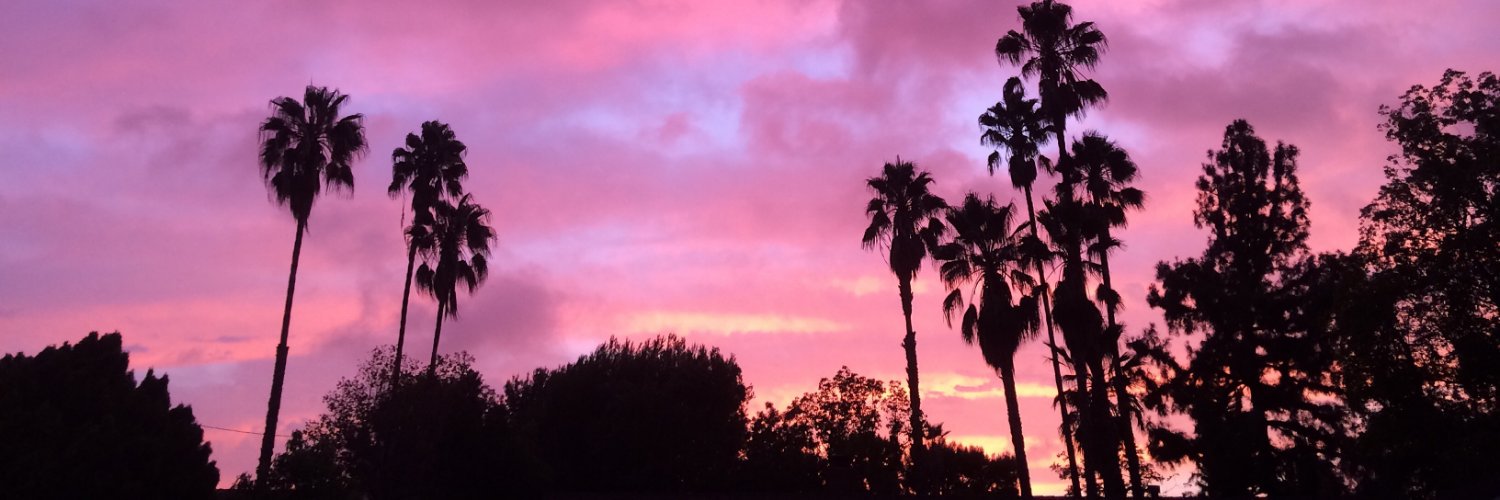 KerryC_LA's profile banner image